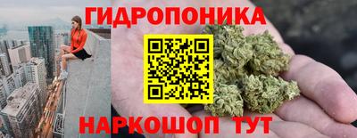 скорость Заволжье