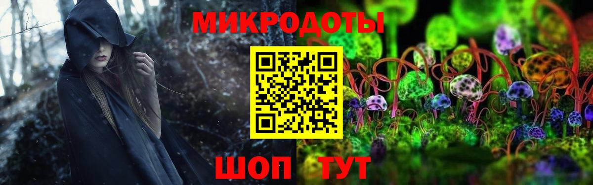 Псилоцибиновые грибы прущие грибы Луховицы
